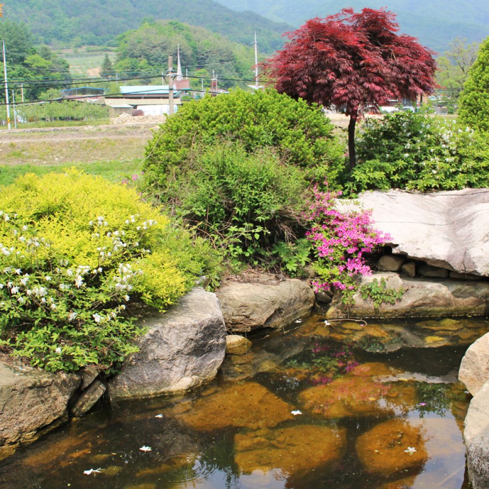 외부전경