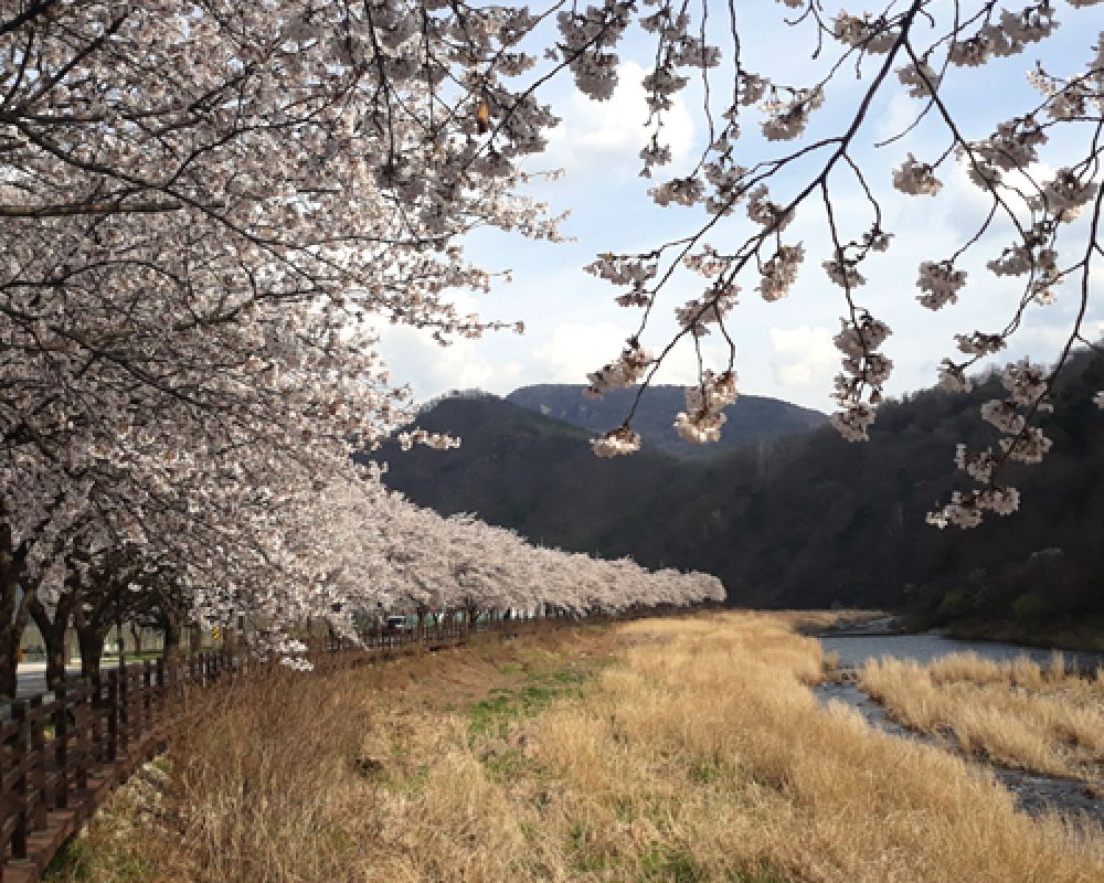 관광지안내